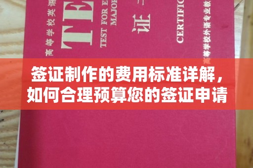 密云签证制作的费用标准详解，如何合理预算您的签证申请成本